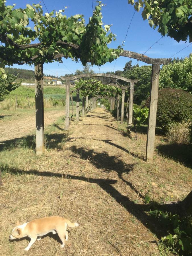 Quinta Do Sanguinhal Villa Rio Maior Exteriör bild