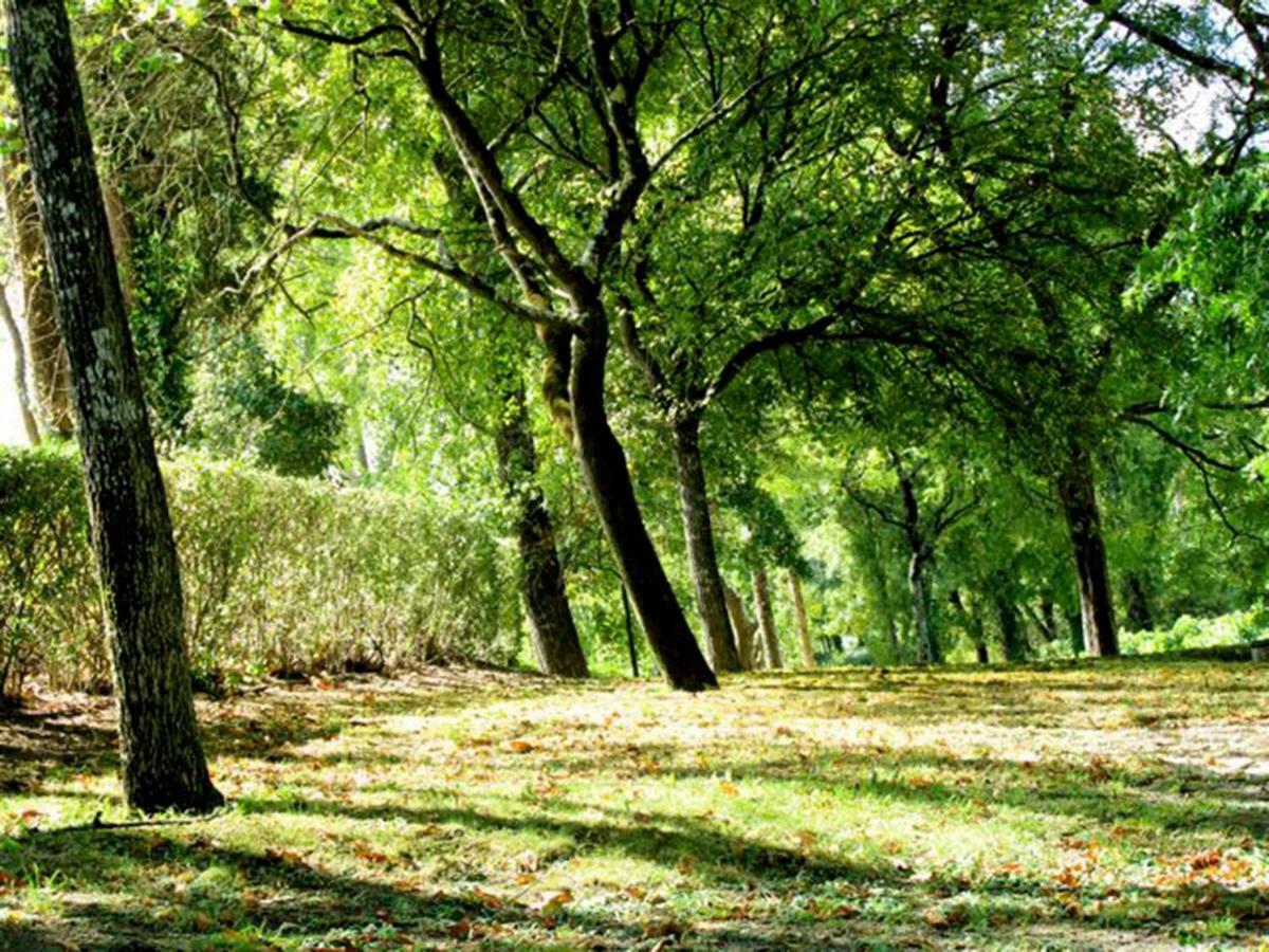 Quinta Do Sanguinhal Villa Rio Maior Exteriör bild