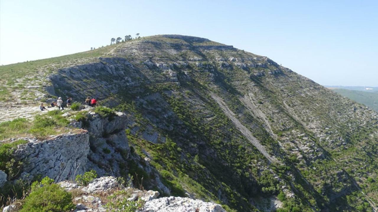 Quinta Do Sanguinhal Villa Rio Maior Exteriör bild